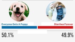 Everyone gets a puppy vs diarrhea forever Meme Template
