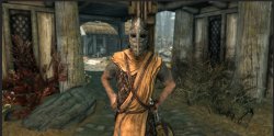 Skyrim Guard Meme Template