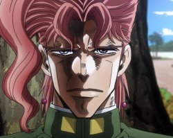 Kakyoin Face Meme Template