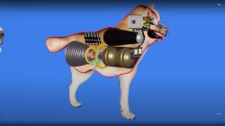 How a Dog Works Meme Template