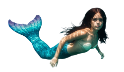 jenna orthga Meme Template