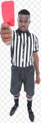Referee Meme Template