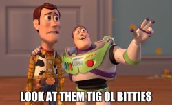 Toy Story Tig Ol' Bitties Meme Template