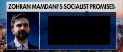 Zohran Mamdani Socialist Promises Meme Template