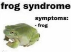 frog syndrome Meme Template