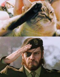 Salute ? Meme Template