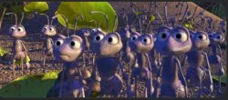 Ants Meme Template