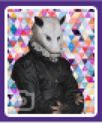 Colorful Geo Possum Meme Template