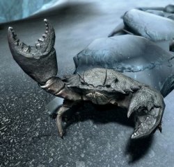 Skyrim Mudcrab Meme Template