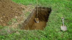 Dug grave Meme Template