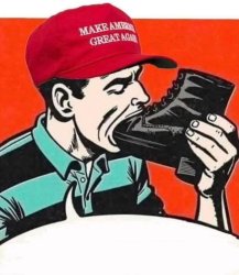 MAGA Bootlicker Meme Template