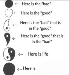 Here is ___ Meme Template
