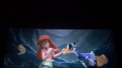 donald almost kisses Meme Template