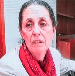 claudia sheinbaum Meme Template