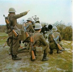 Yugoslav People’s Army Ground Infantry Meme Template