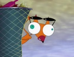 Cajun fox big ass eyes while he holding his sunglasses Meme Template