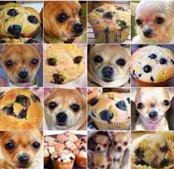 muffin or chihuahua Meme Template