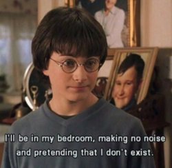 Harry Potter Meme Template