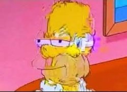 Homer Glitching Meme Template