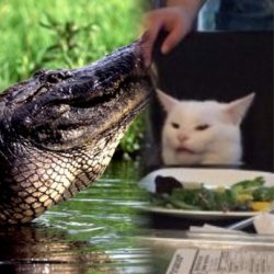 Alligator and Smudge Meme Template