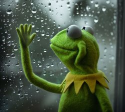 kermit sad Meme Template