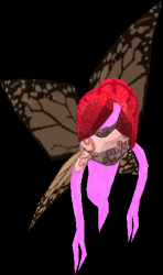 Nymph Meme Template