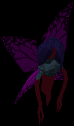 Dark Nymph Meme Template
