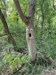 googly eye tree Meme Template