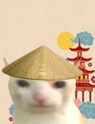 Chinesecat Meme Template
