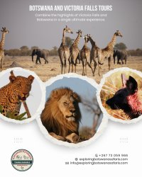 Botswana And Victoria Falls Tours Meme Template