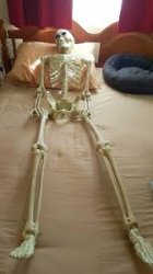 Skelly bed Meme Template
