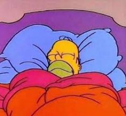 Homer Simpson sleeping Meme Template