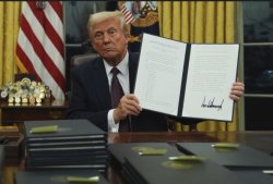 useless trump Meme Template