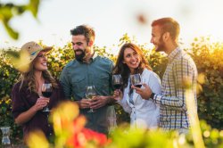 Winery people Meme Template