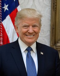 president Trump Meme Template