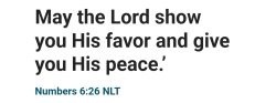 Numbers 6:26 nlt Meme Template