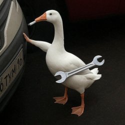 repair duck Meme Template