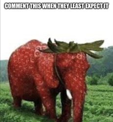 Comment this when they least expect it Meme Template