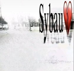 sybau template Meme Template