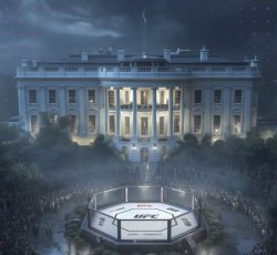 White House UFC Meme Template