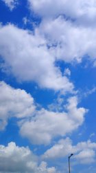 Sky Meme Template