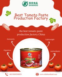 Best Tomato Paste Production Factory Meme Template