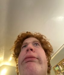 sHERBERT Meme Template