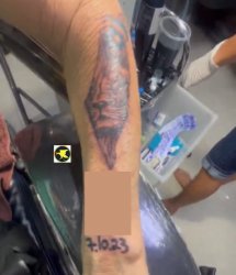 Israel rising lion 7 10 tattoo for some reason Meme Template