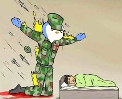 Protector Meme Template