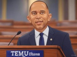 Hakeem Jeffries toon Meme Template