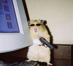 rat gun near computer Meme Template