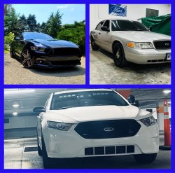 When a Mustang and P71 give birth Meme Template