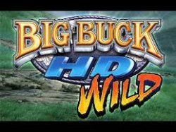 Big buck wild Meme Template