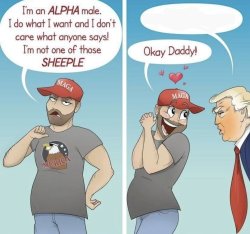Maga alpha male trump Meme Template